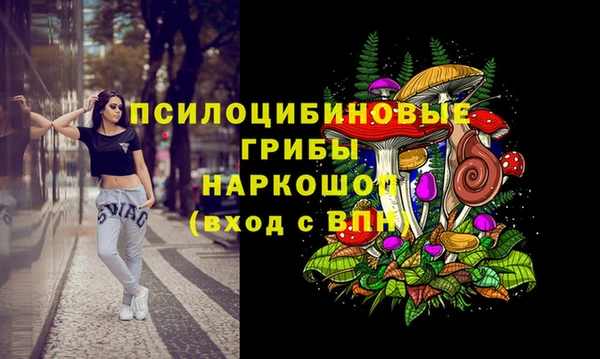 а пвп мука Ладушкин