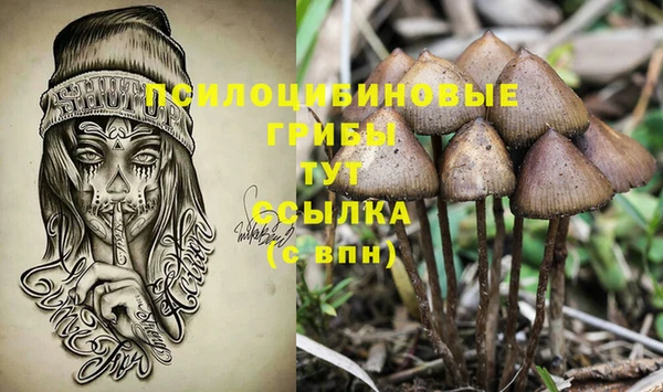 а пвп мука Лабытнанги